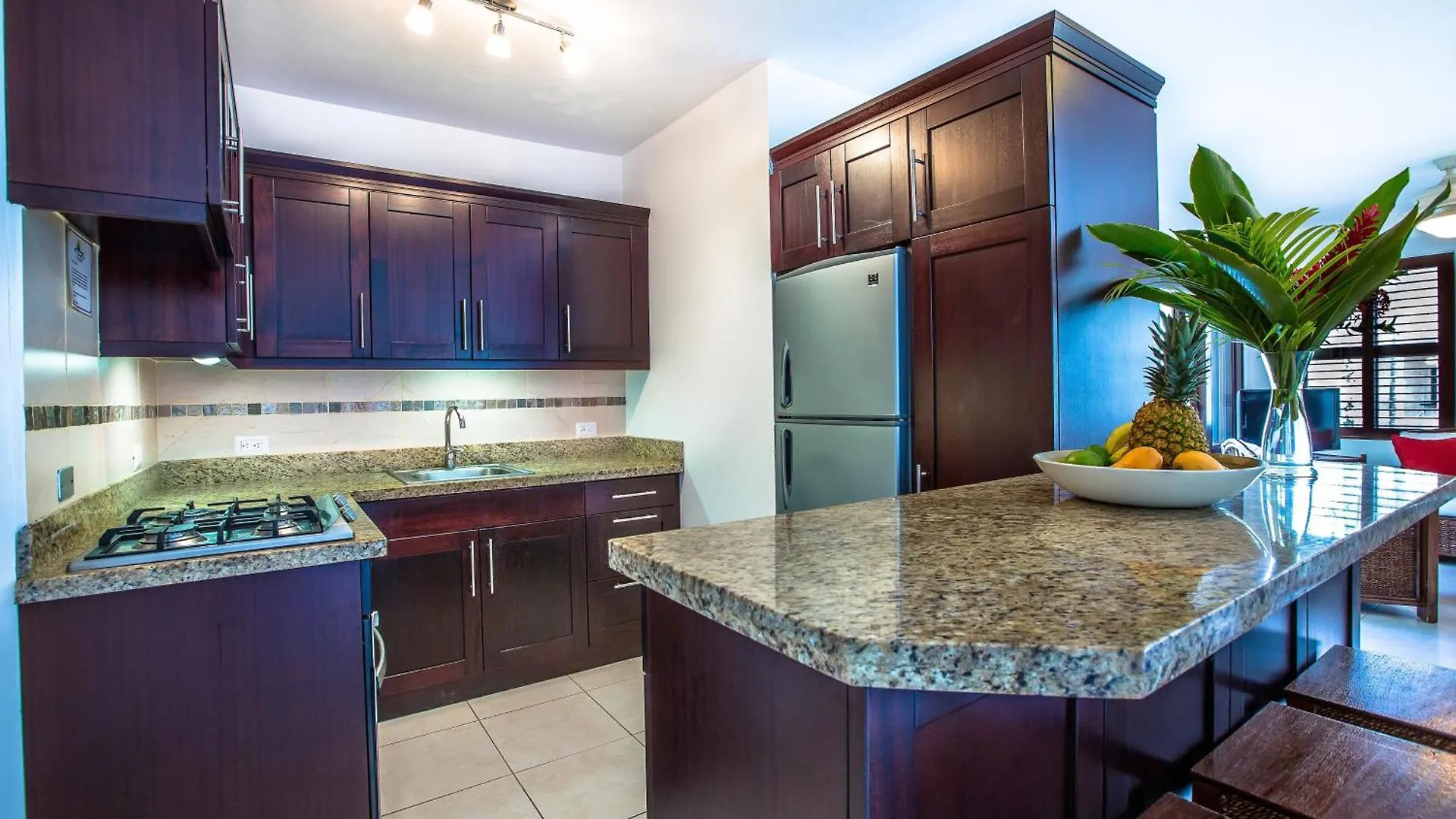 Cabarete Palm Beach Condos